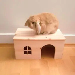 Wooden rabbit house Pet Market