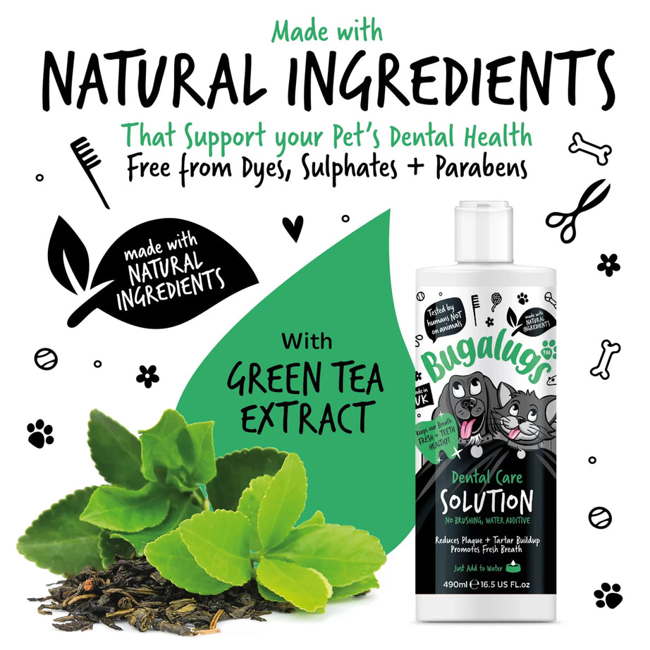 Bugalugs Dental Care Solution Dental Care Bugalugs