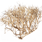 Ramous Wood 20-30cm Pet Market