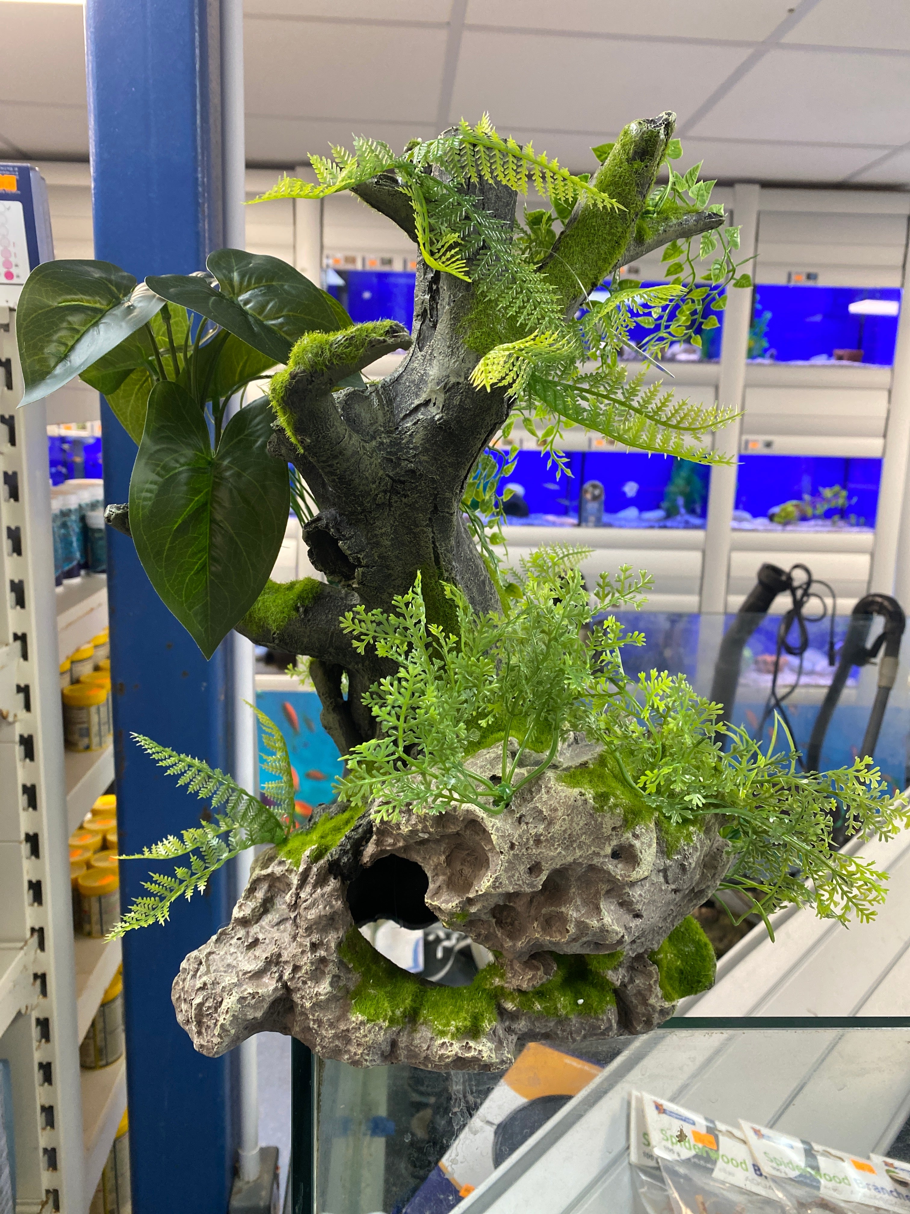 Betta Wood Root and Plants Pet Market