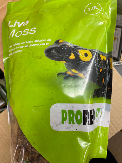 PR Live Moss, Small Bag (approx 1.5L)