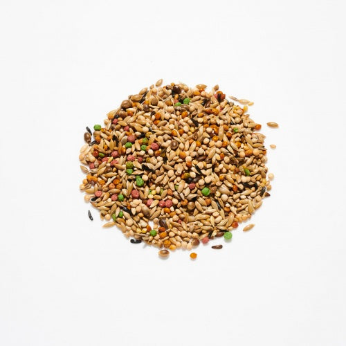Countrywide VAM Budgie Breeders Mix Bird feed Country Wide