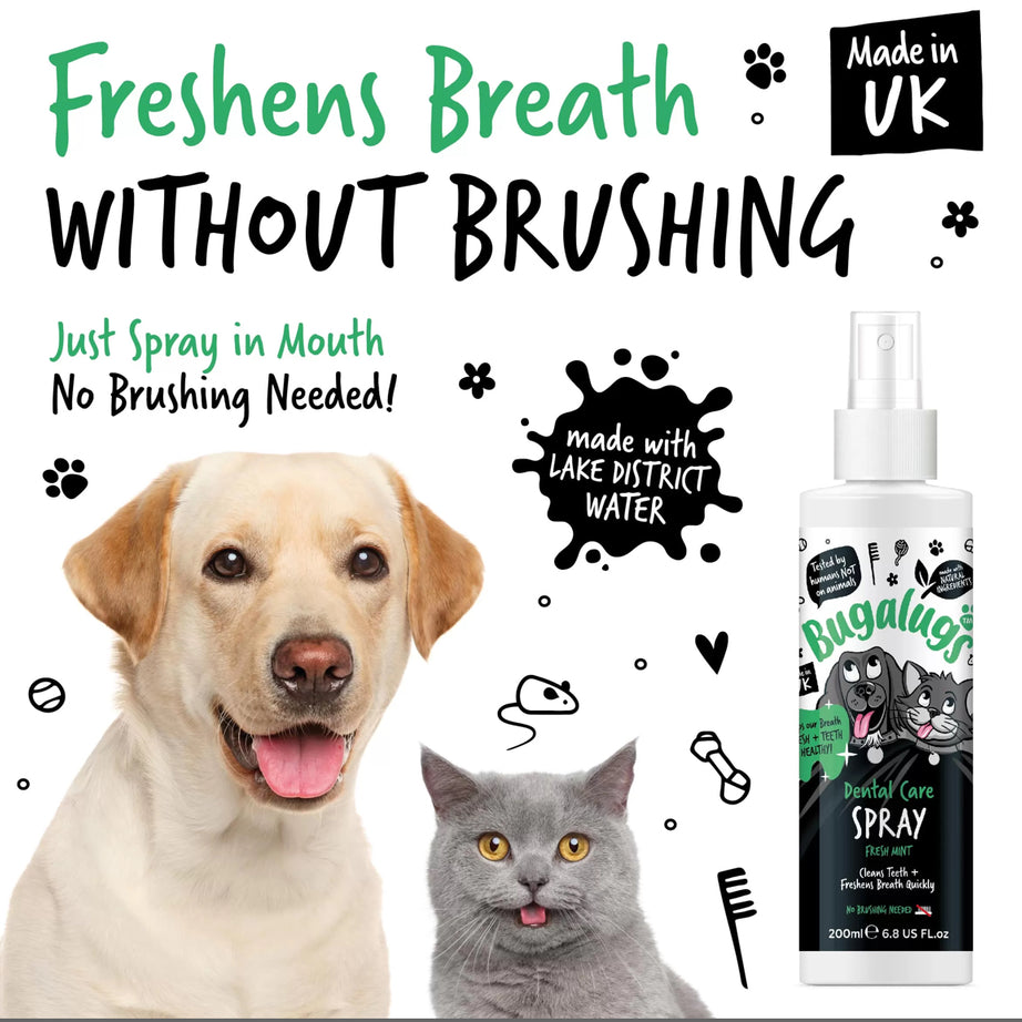 Bugalugs Dental Care Spray Dental Care Bugalugs