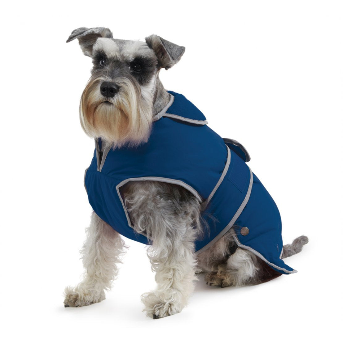 Storm guard dog L chocolate
