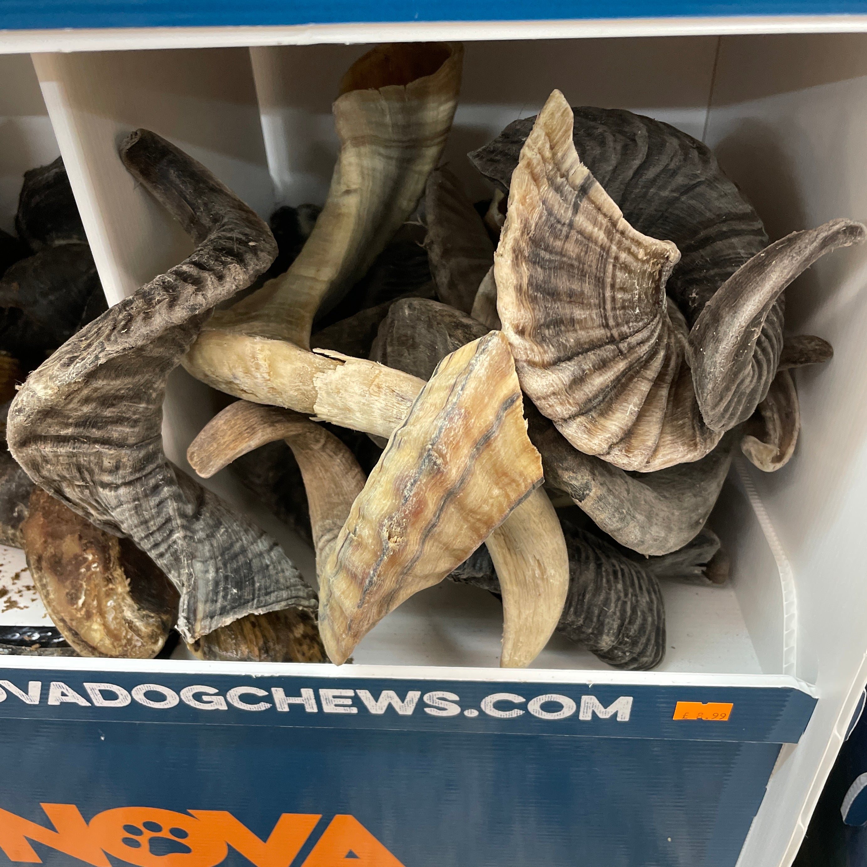 Lamb Horn the Pet MARKET