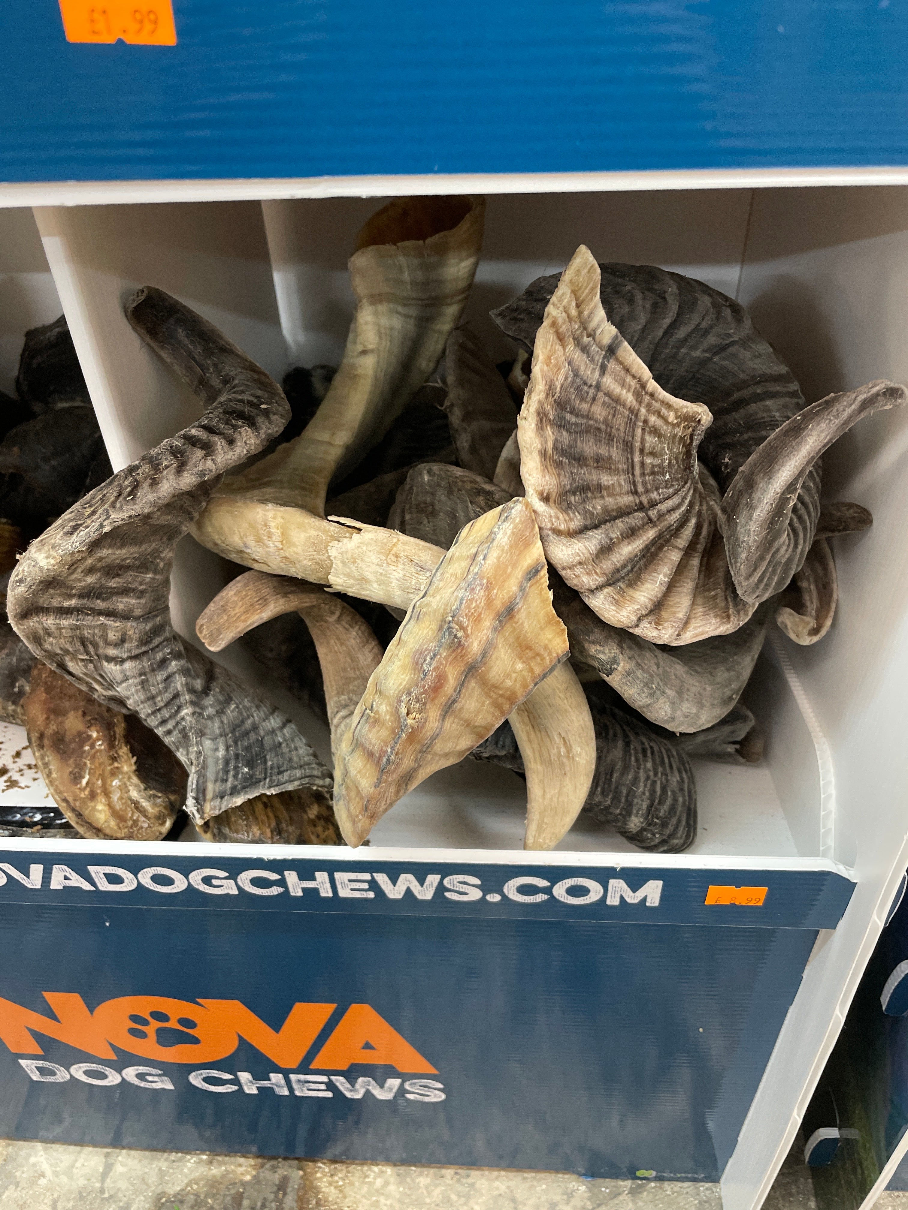 Lamb Horn the Pet MARKET