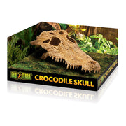 Exo-Terra Crocodile Skull Pet Market