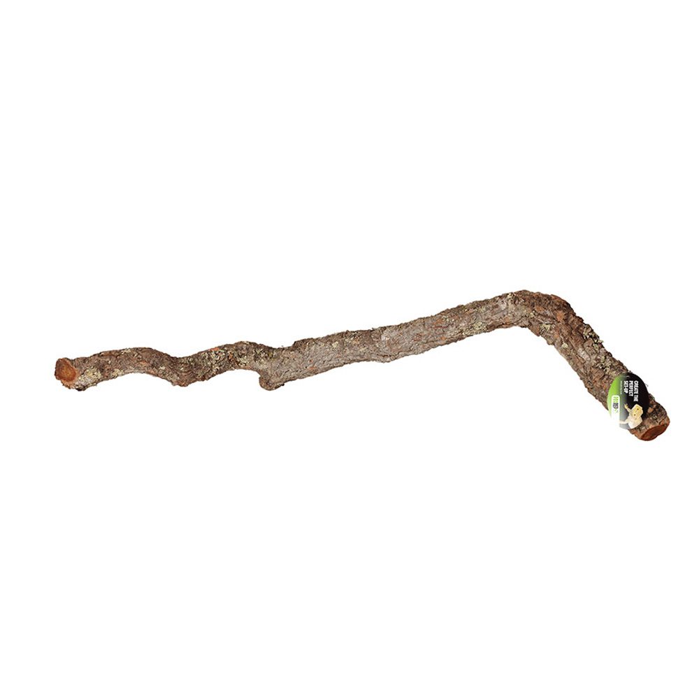 PR Cork Oak Branch 40-60cm Pet Market