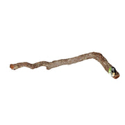 PR Cork Oak Branch 40-60cm Pet Market