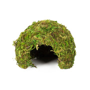 RZ Natural Moss Dome, Small, 11x11x9cm Pet Market