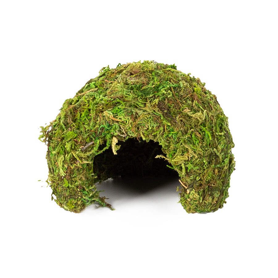 RZ Natural Moss Dome, Small, 11x11x9cm Pet Market
