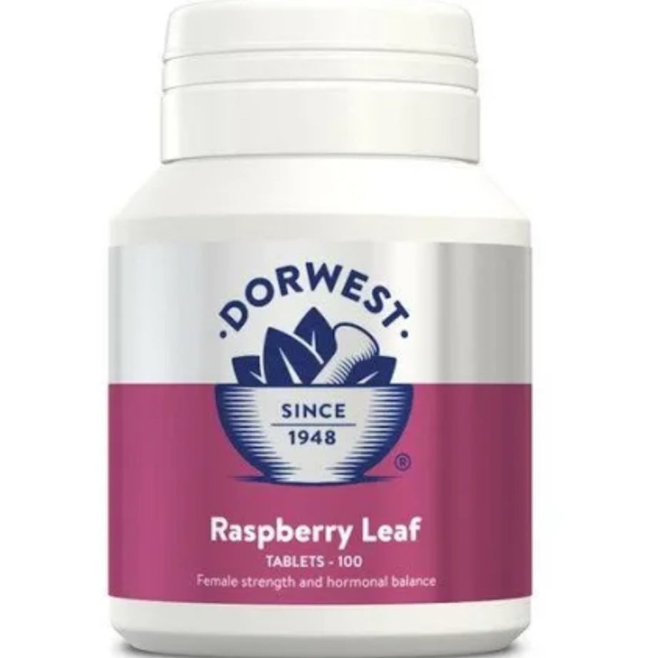 Dorwest Raspberry Leaf Hormonal Balance Support Tablets Dorwest