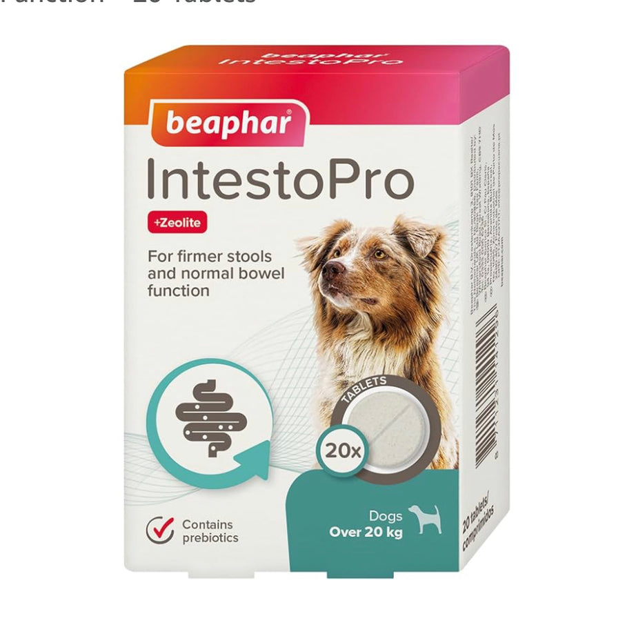IntestoPro the Pet MARKET