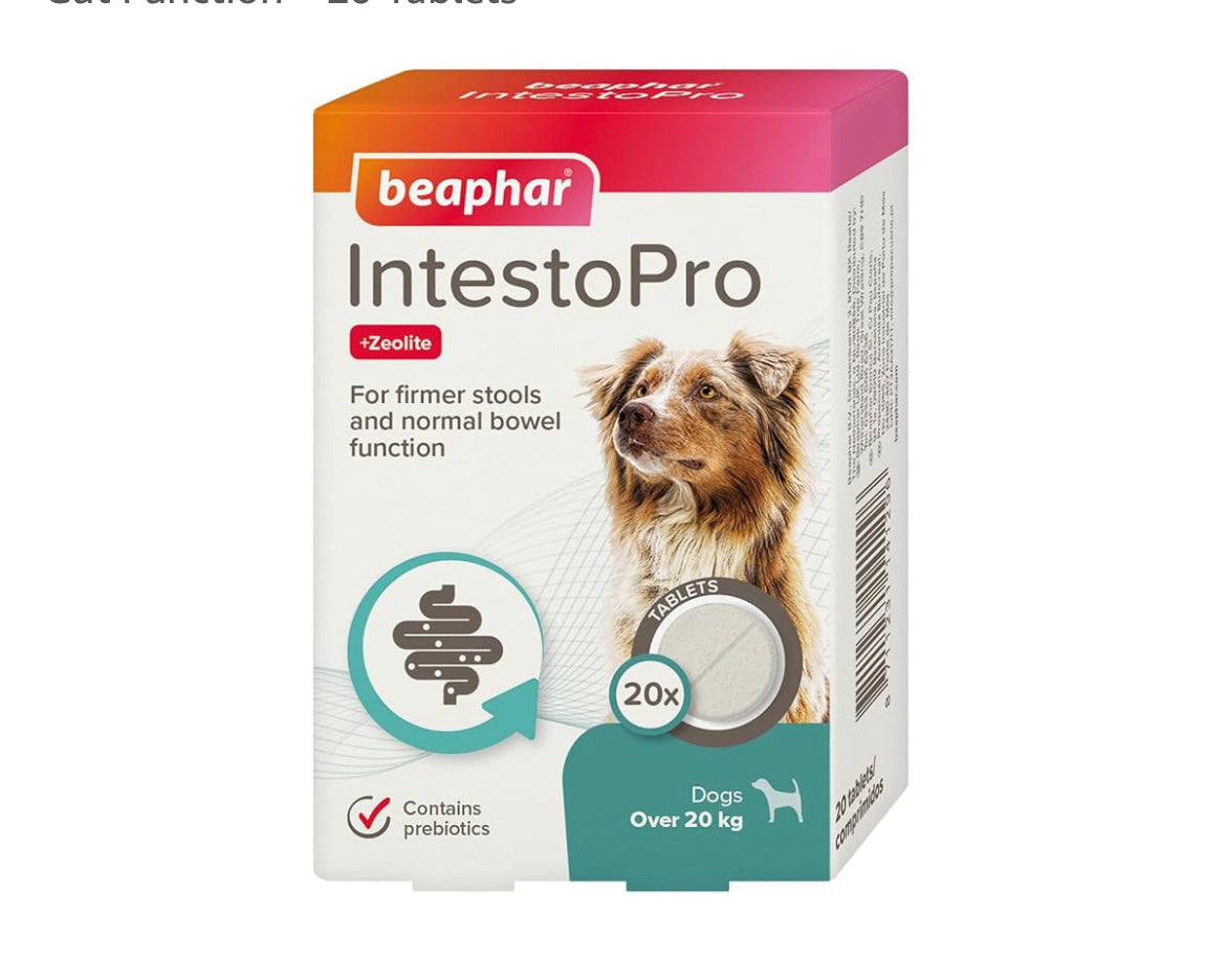 IntestoPro the Pet MARKET