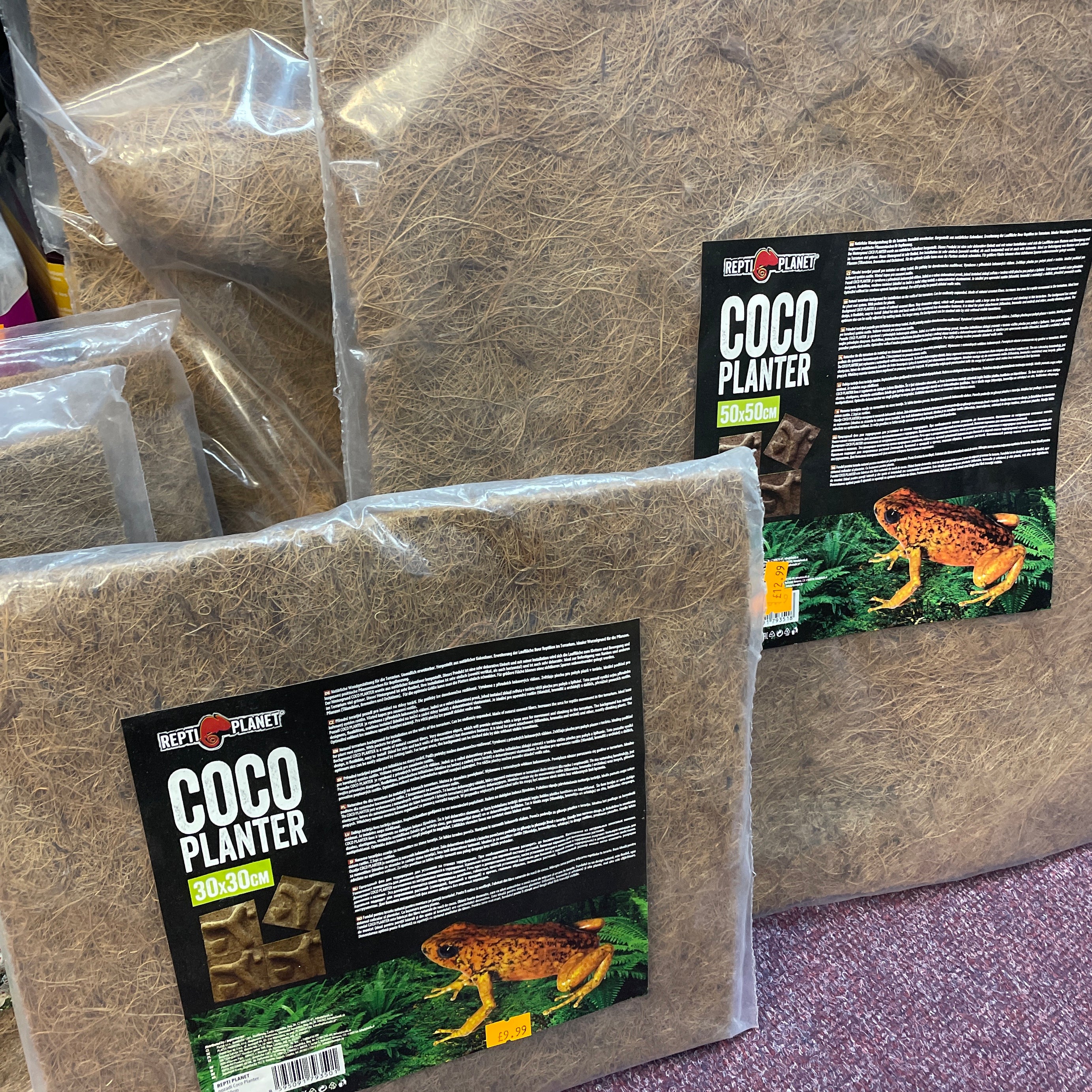ReptiPlanet Coco Planter the Pet MARKET
