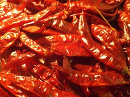 Tidymix Whole Chillies Bird Treat Tidy Mix 100g