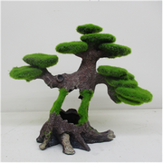 Hugo Money Tree 20Cm Pet Market