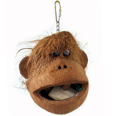 Java coco monkey Pet Market