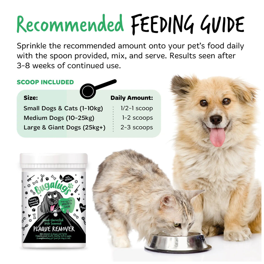 Bugalugs Plaque Remover (200g) Bugalugs