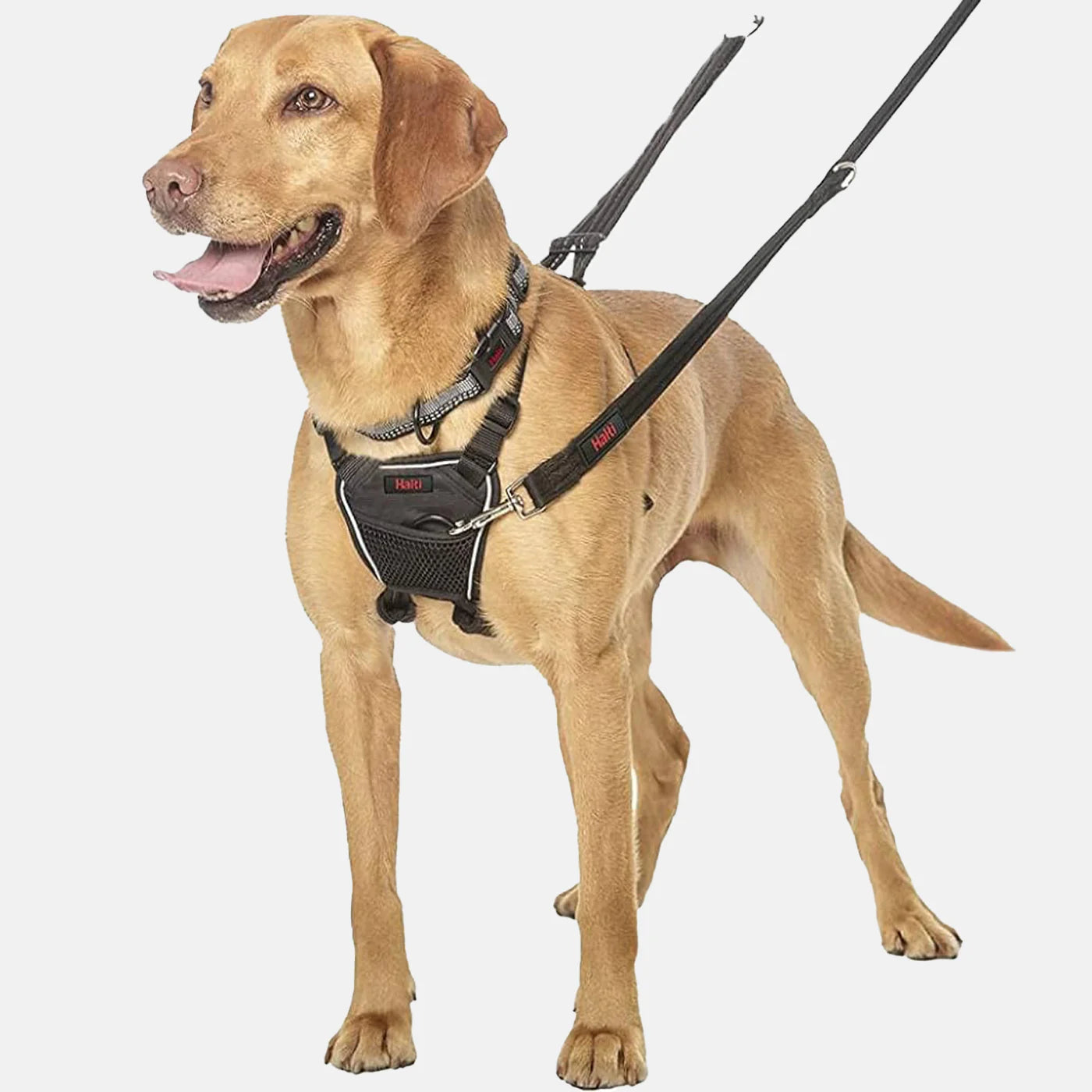 Halti No Pull Harness Dog accessories Company of animals