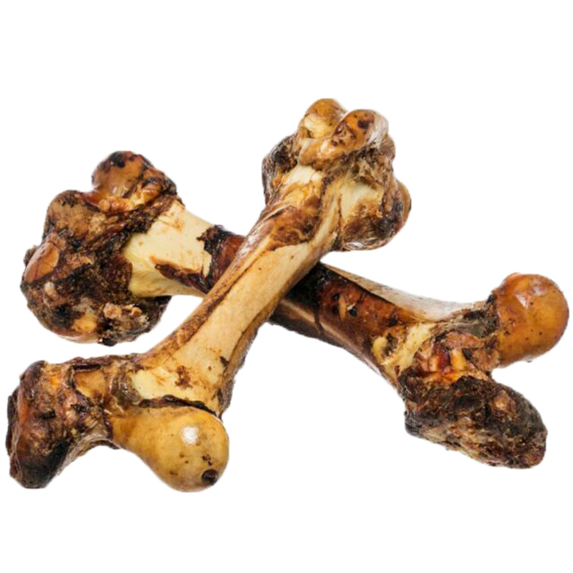 Roasted Whole Bone Jurassic Dog Treat T.Forest