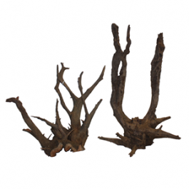Structure wood Pet Market