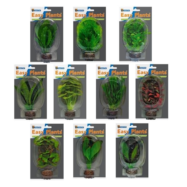 SuperFish Easy Plants Foreground Aquarium Plants SuperFish