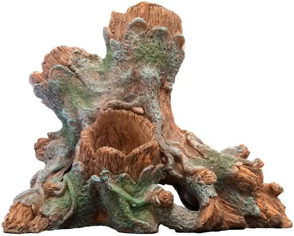 SuperFish scapers wood Planty the Pet MARKET