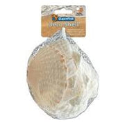 SuperFish Deco Shell Scallop White Fish - Decor SuperFish