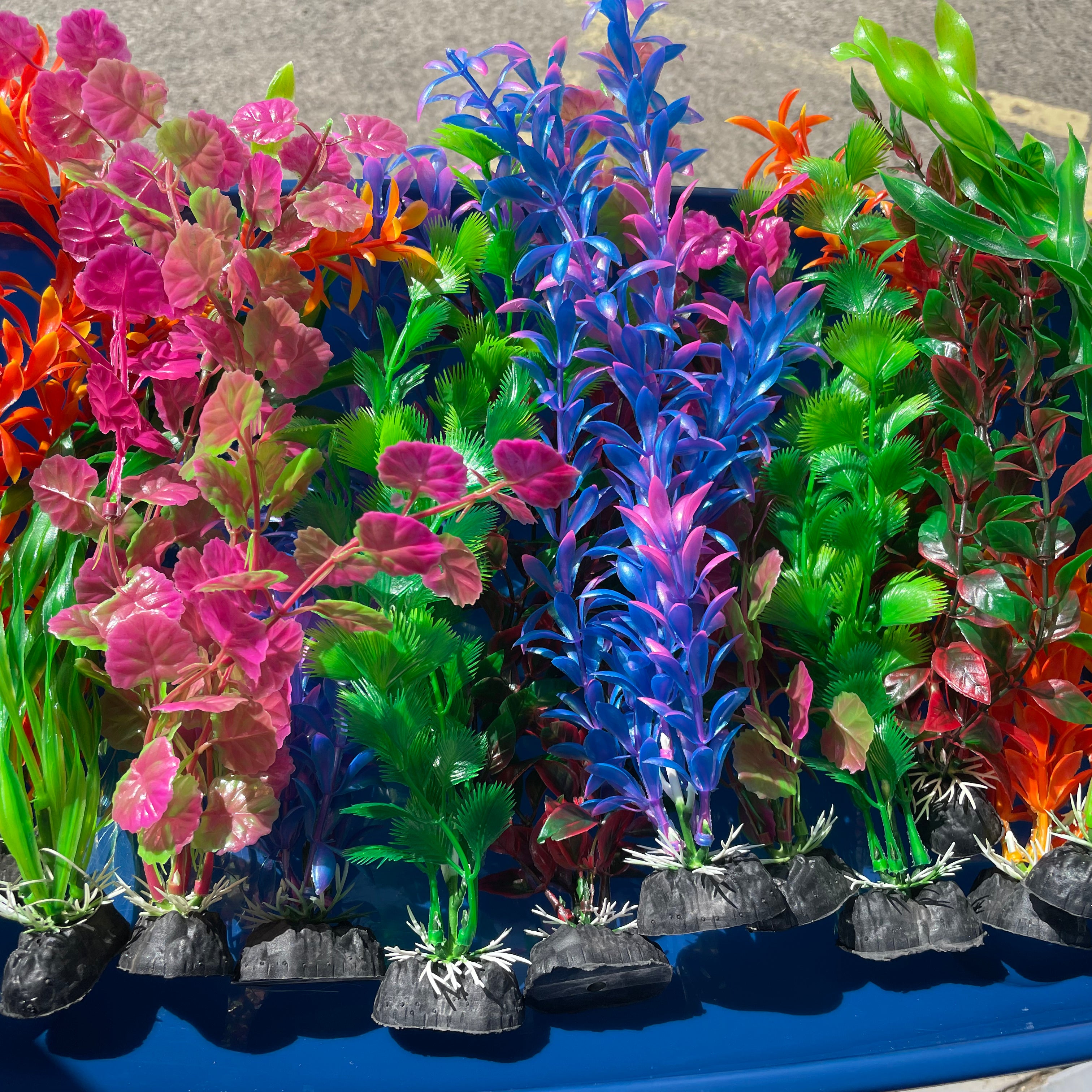 Assorted fish tank plants the Pet MARKET Large