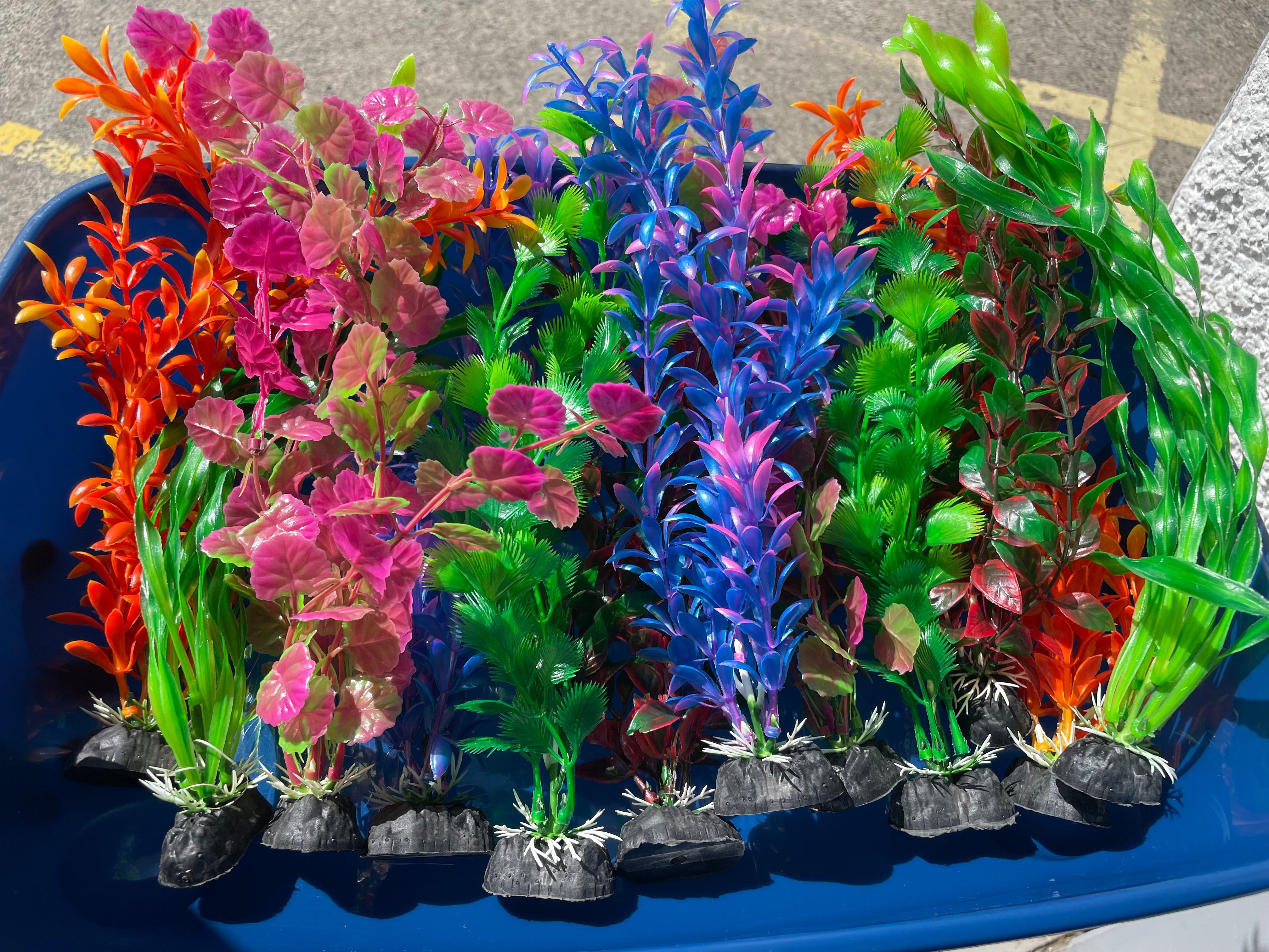 Assorted fish tank plants the Pet MARKET Large