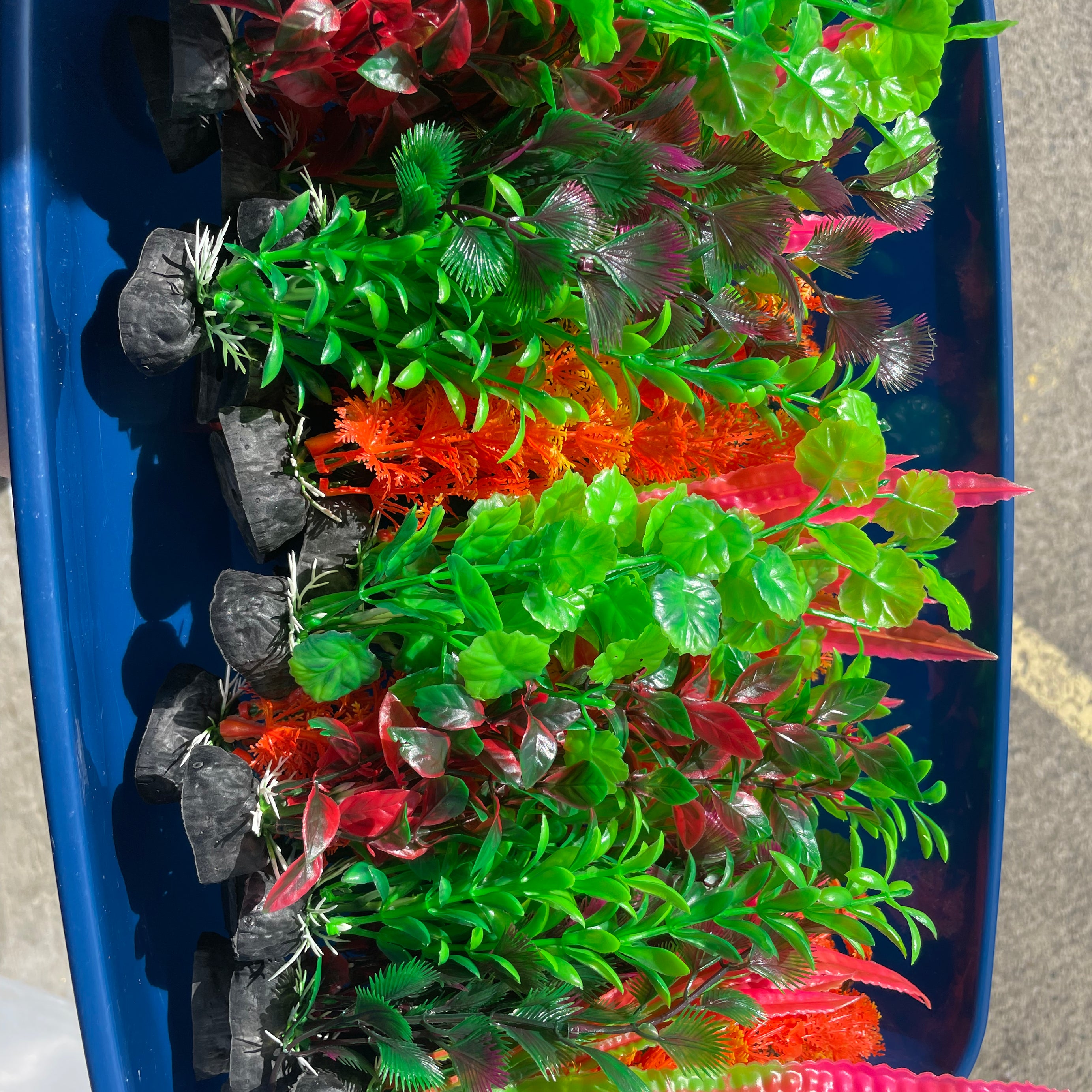 Assorted fish tank plants the Pet MARKET Medium