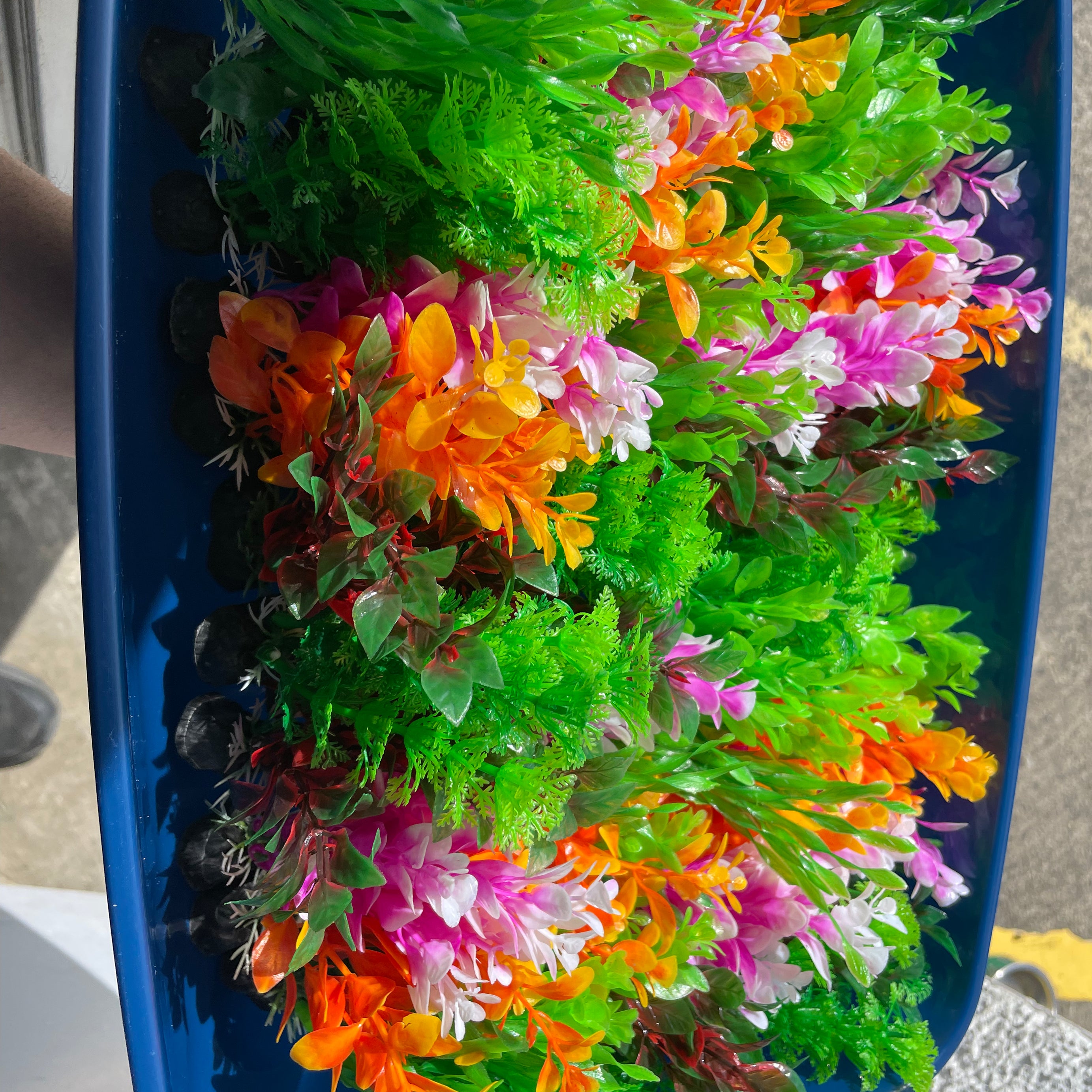 Assorted fish tank plants the Pet MARKET Small