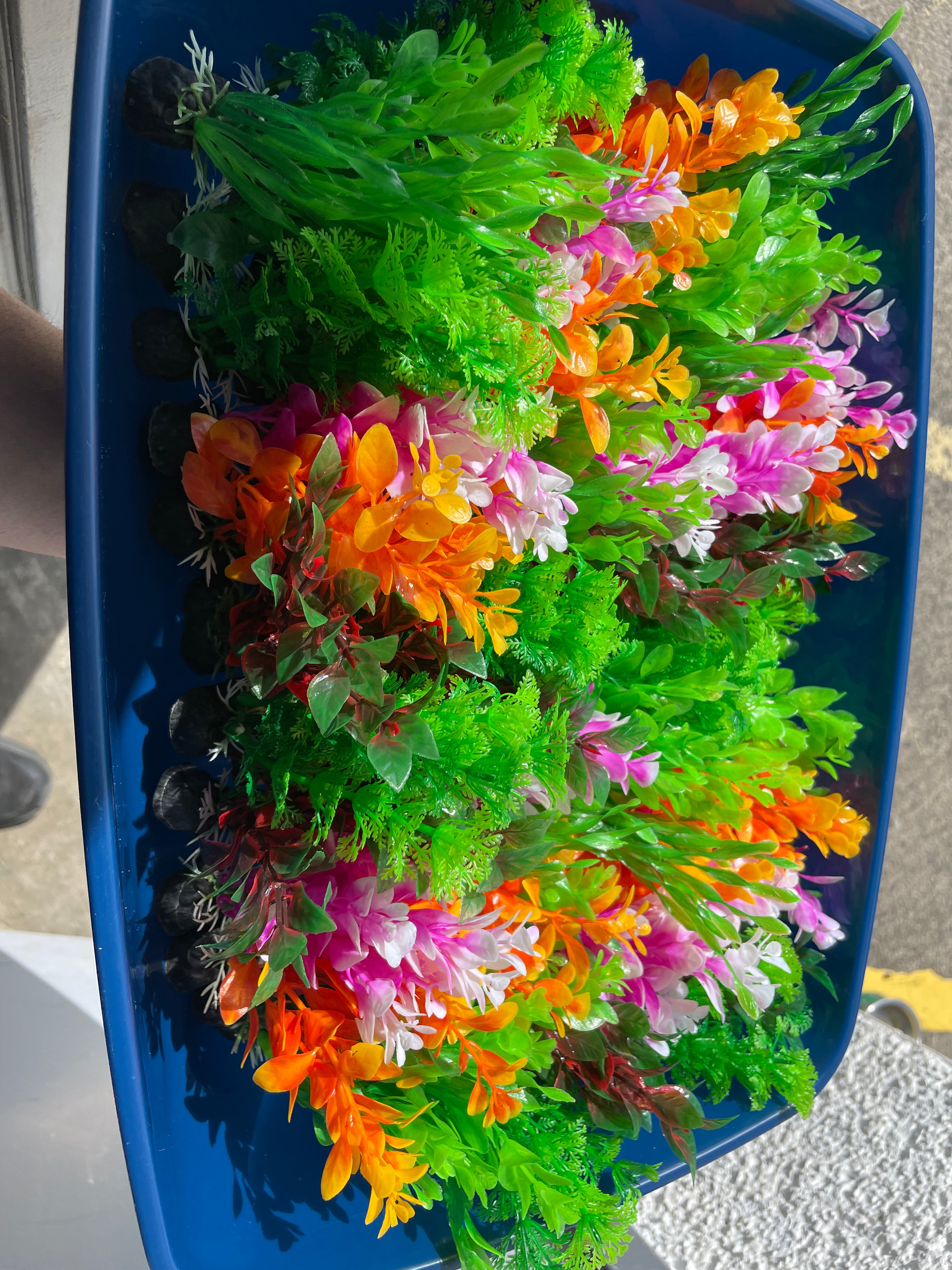 Assorted fish tank plants the Pet MARKET Small