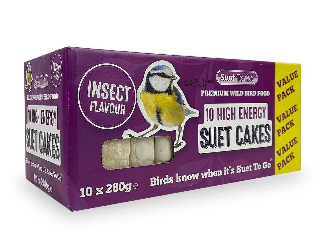 Suet to go suet cakes the Pet MARKET Insect