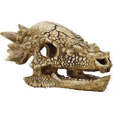 SuperFish SKULL T REX M Fish - Decor SuperFish