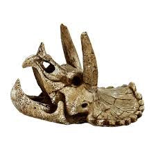 SuperFish SKULL TRICERATOPS M Fish - Decor SuperFish