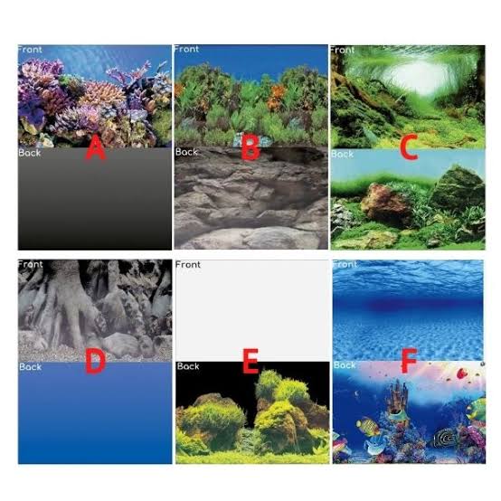 SuperFish Deco Poster Aquarium Background SuperFish
