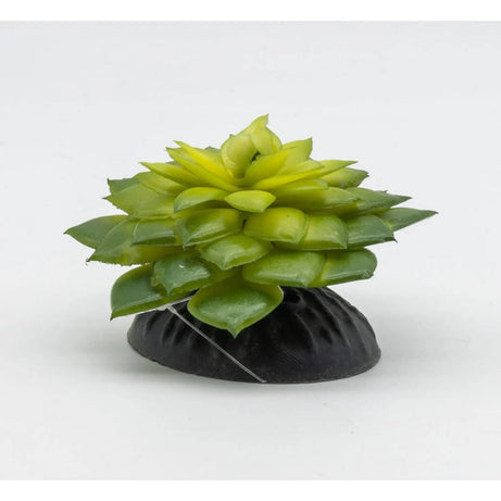 Nano plant decor the Pet MARKET Salsaverde