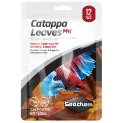 Catappa leaves medium 12pk the Pet MARKET