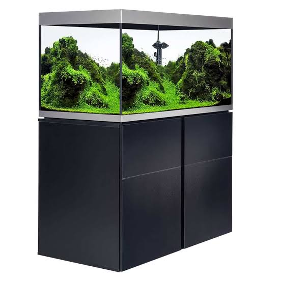 Fluval Siena 272 and cabinet the Pet MARKET