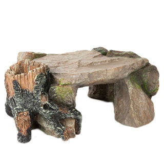 Betta Flintstone cave Pet Market