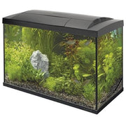 SuperFish Start 70 Tropical Kit Black Pet Market