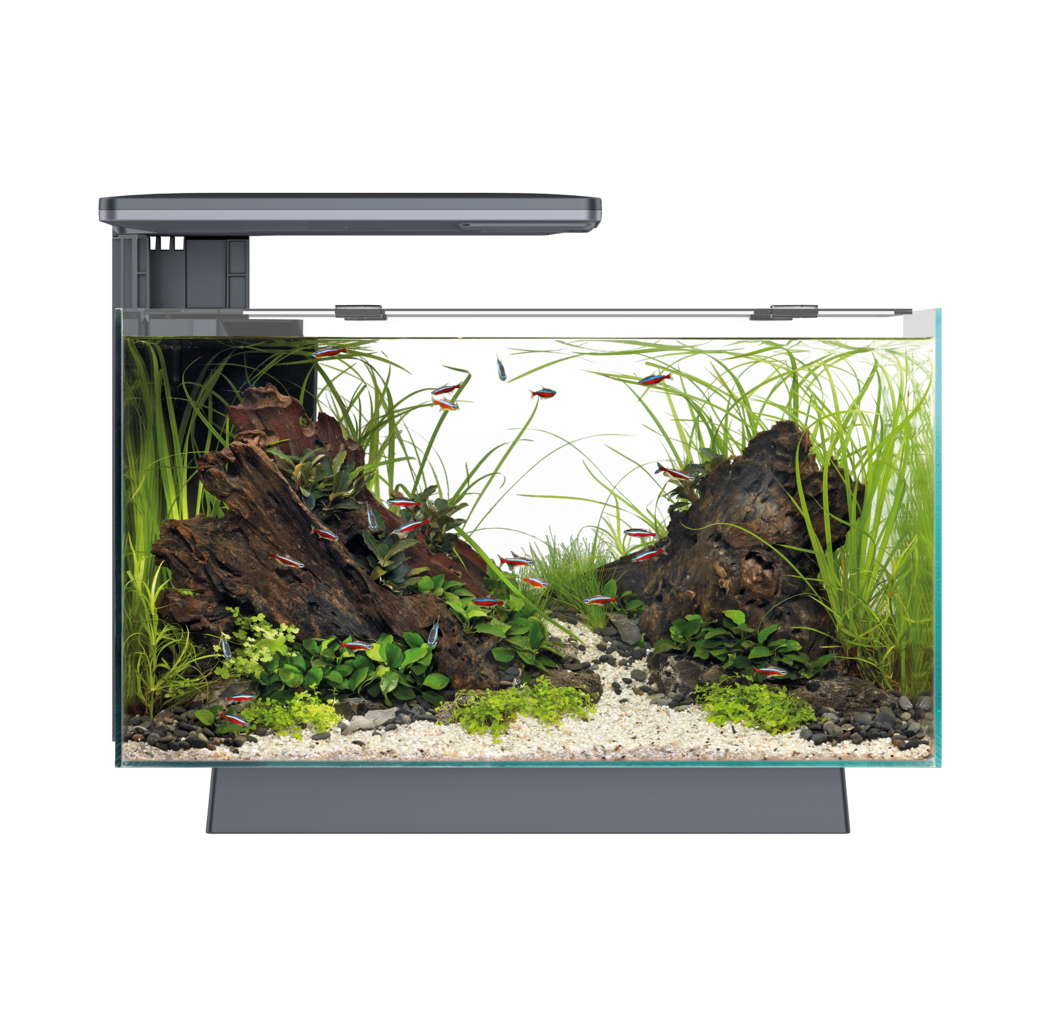 SuperFish Quadro 40 Pro Aquarium White Pet Market