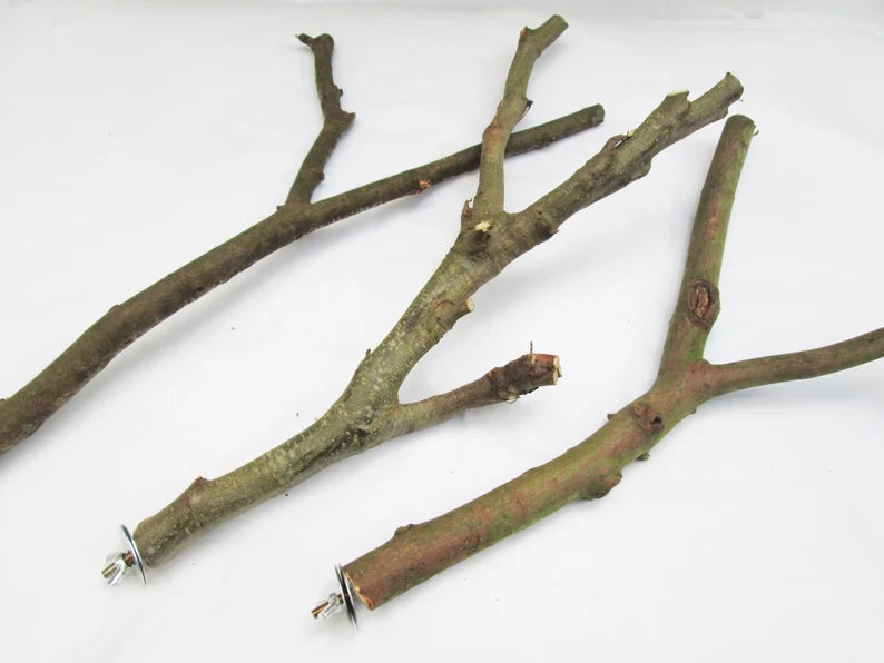 Small Apple Tree Y perch for pets, made by Pet Market, featuring a natural wooden design suited for small animals or birds.