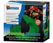 Spawning brushes the Pet MARKET