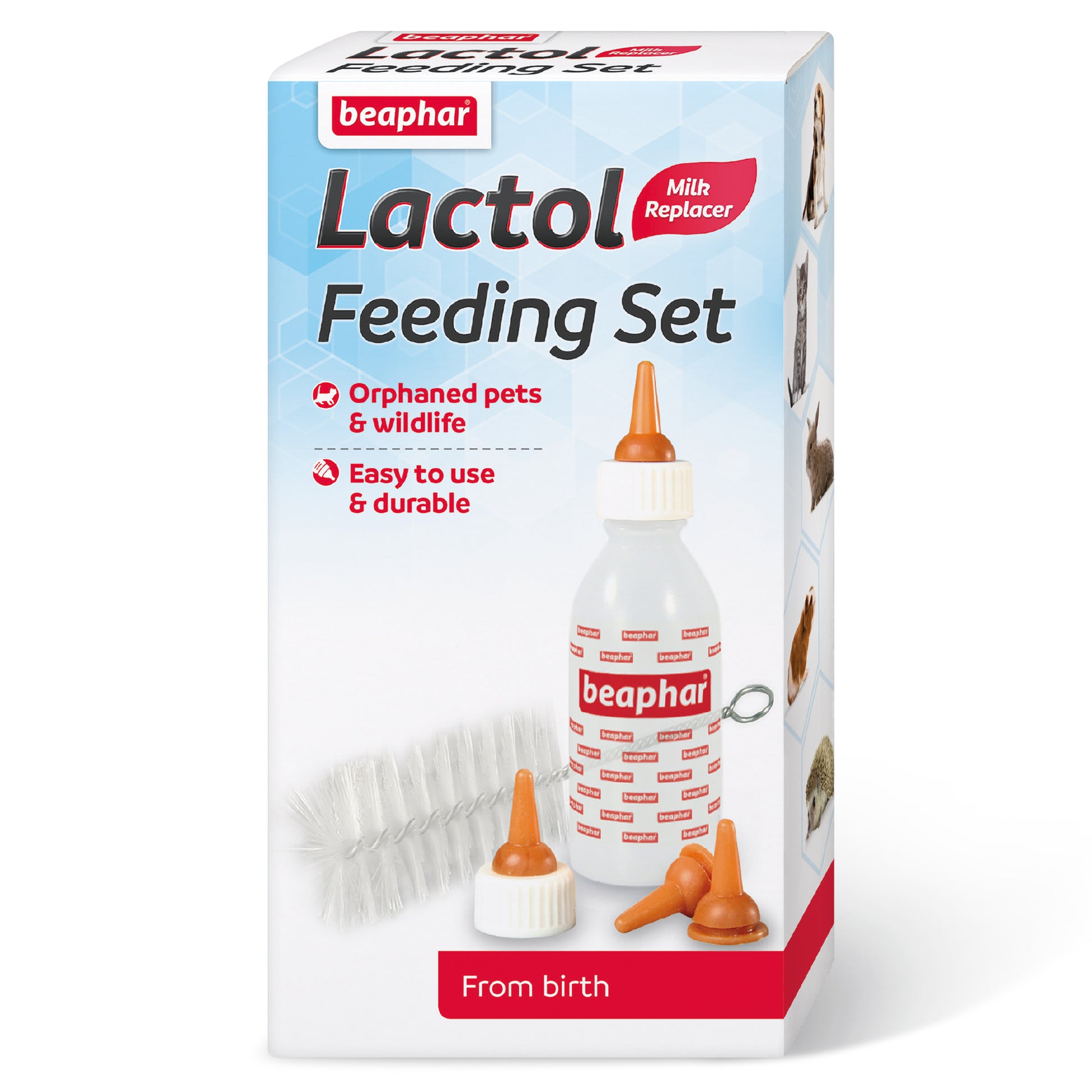 Lactol feeding set Pet Market