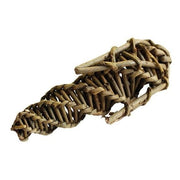 Willow Corn the Pet MARKET