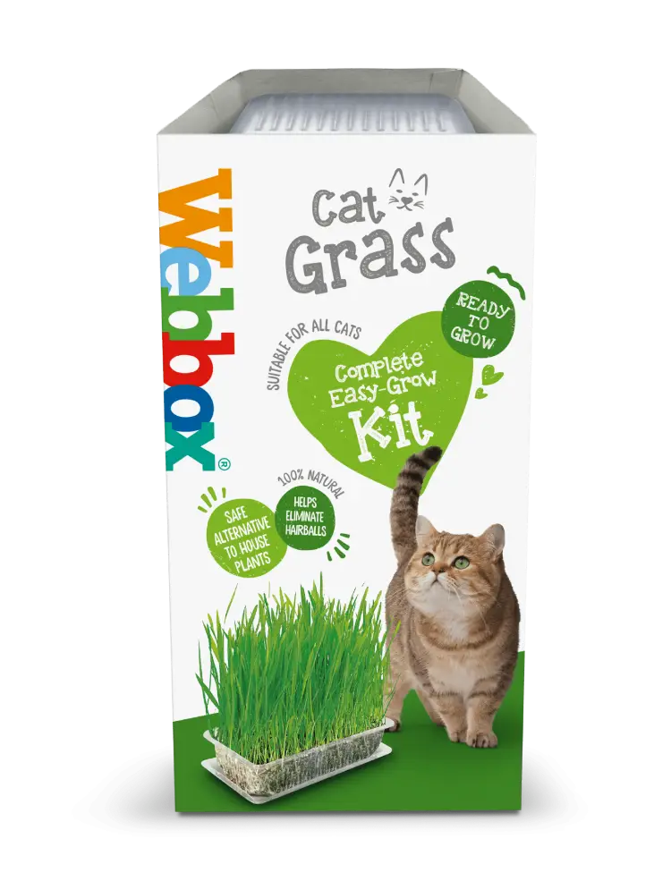 Webbox cat grass Webbox