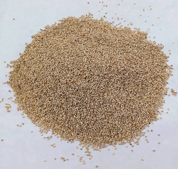 Countrywide Jap Millet 500g Bird - Food Countrywide